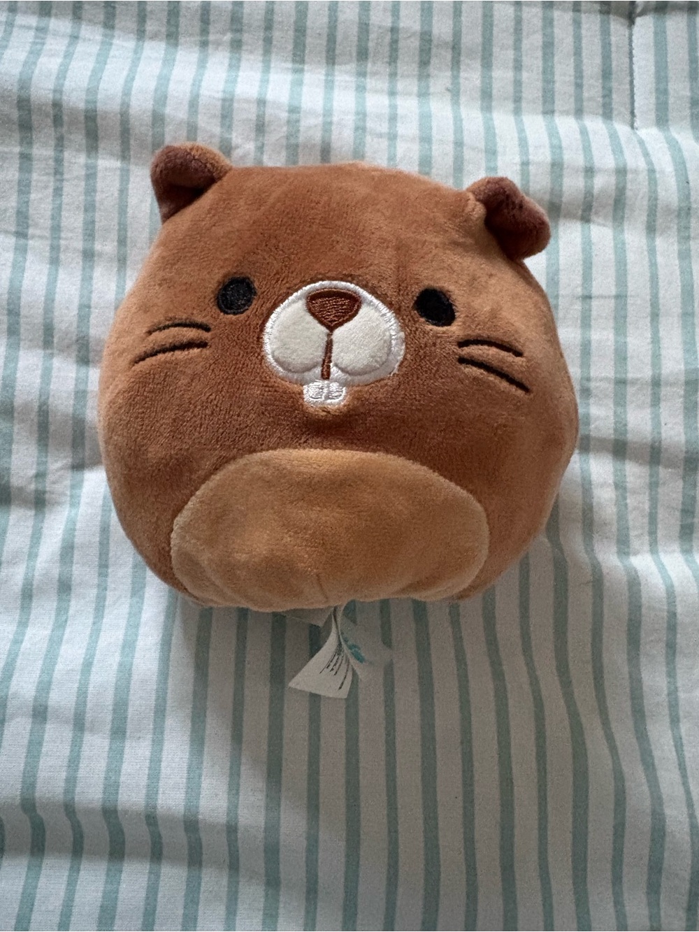 Squishmallows Flip-A-Mallows Reversible Beaver Raccoon Plush Mini
